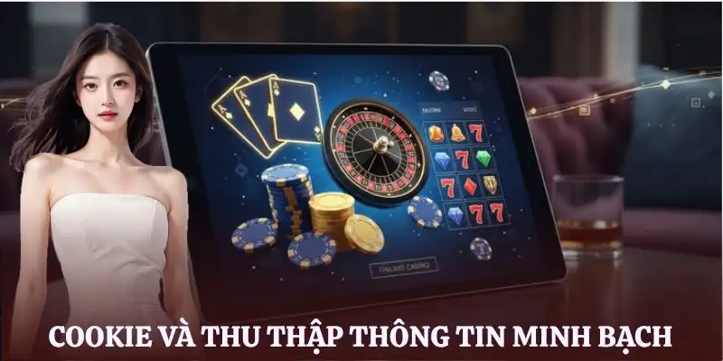 quyen-rieng-tu-lv88-cookie
